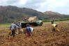 Levantan suspensi&oacute;n temporal del uso de drones en el campo: Permitir&aacute; retomar labores como fertilizaci&oacute;n y monitoreo de cultivos