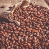 Casi 3 mil kilos de café mirandino se exportaron a Japón