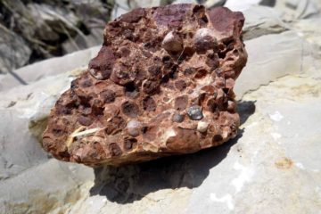 Guyana volver&aacute; a producir bauxita en el este del pa&iacute;s tras seis a&ntilde;os inoperante