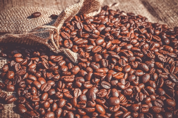 Casi 3 mil kilos de café mirandino se exportaron a Japón