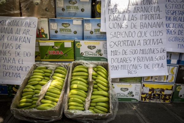 Productores de banano de Bolivia exigen pago de más de US$12 millones a Argentina