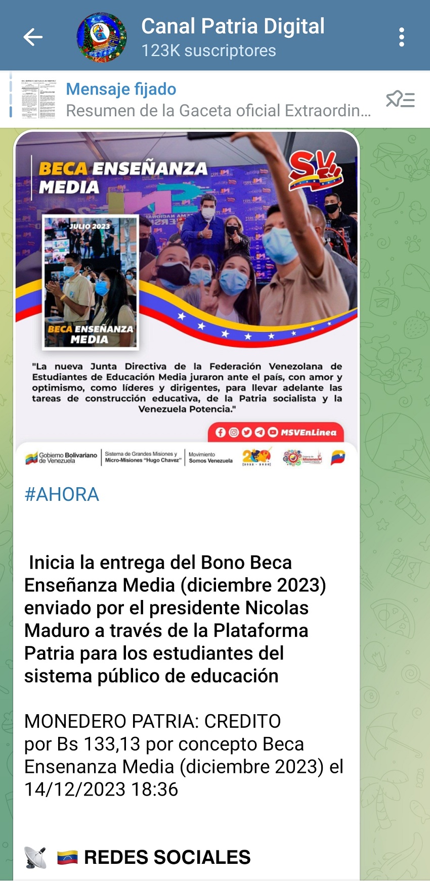 Pagan el bono "Beca Enseñanza Media" de diciembre por US$ 3 a través de la plataforma Patria