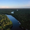 Reino Unido aportará 44 millones de dólares para el Fondo Amazonia de Brasil