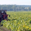 Brasil espera exportar 92.000 millones de dólares con proyectos de agronegocio