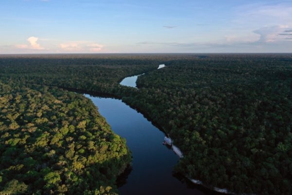 Reino Unido aportará 44 millones de dólares para el Fondo Amazonia de Brasil