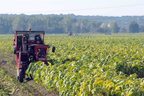 Brasil espera exportar 92.000 millones de dólares con proyectos de agronegocio