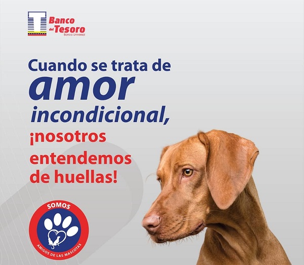 BT: El Primer Banco del país amigo de las mascotas