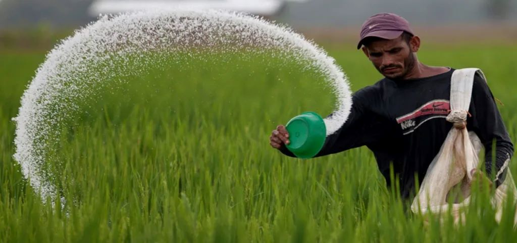 #Exclusivo: Usura en el campo: Asociaciones cobran «créditos» opacos con 100% de la producción agrícola