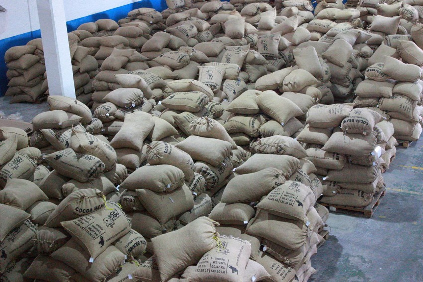 En 12 contenedores: Venezuela exportó más de 300 toneladas de cacao a Estonia e Indonesia
