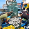 Empresarios venezolanos recibieron orientaciones para exportar productos pesqueros a China