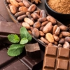 Un virus de rápida propagación pone «en peligro real» el suministro mundial de chocolate, afirma experto