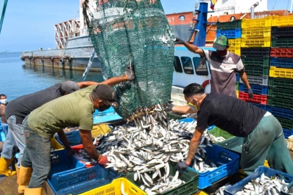 Sucre: la potencia pesquera que sobrevive con más de 90% de pobreza y más de 65% de desempleo