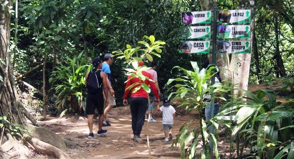 Prohiben acceso a parques y monumentos naturales de Valencia para prevenir incendios forestales