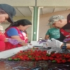 Lara realizó la primera exportación de seis toneladas de hortalizas y frutas a Panamá