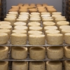 #Exclusivo Apure apuesta por producción de carne y lácteos: Surten 300 mil kilos de queso por semana