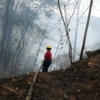 Autoridades de Venezuela detienen a 16 personas por provocar incendios forestales