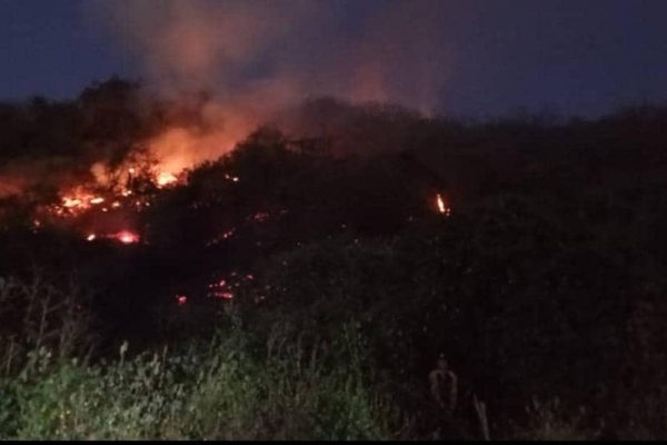 Más de 3.000 incendios en Venezuela han afectado a 61.000 hectáreas durante la «temporada seca»