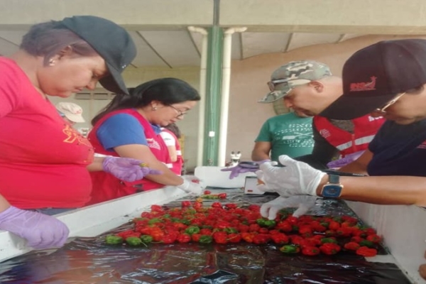 Lara realizó la primera exportación de seis toneladas de hortalizas y frutas a Panamá