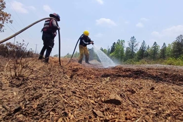 Venezuela registra un número récord de incendios forestales entre enero y marzo