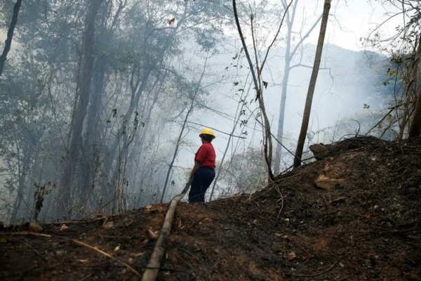 Autoridades de Venezuela detienen a 16 personas por provocar incendios forestales