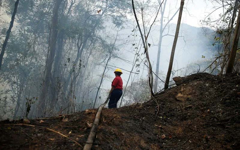 Venezuela registra un número récord de incendios forestales entre enero y marzo