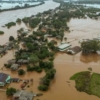 Pérdidas en la ganadería brasileña por las inundaciones superan los 41 millones de dólares