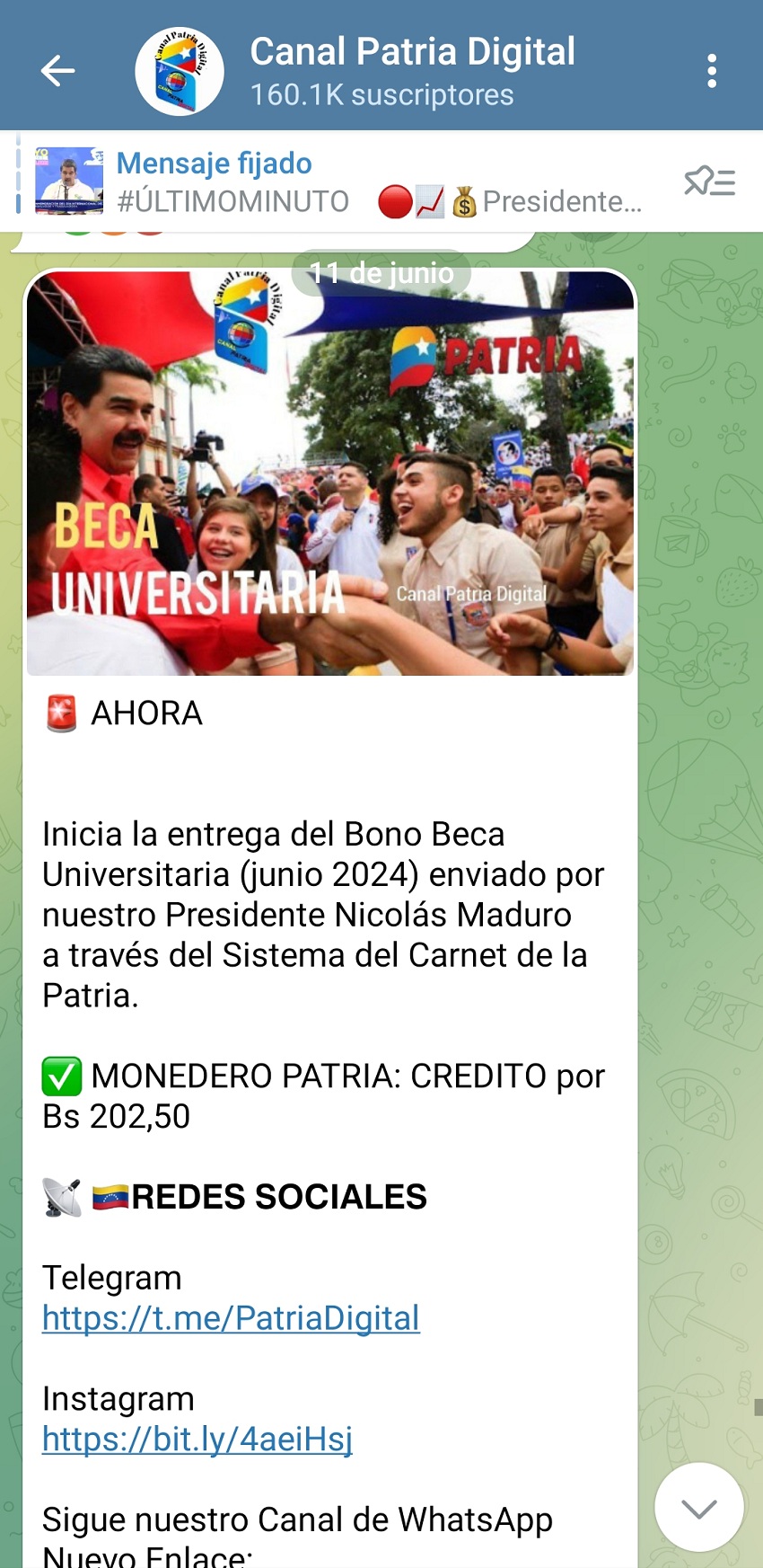 Por US$ 5 y US$ 3: Pagan los bonos «Beca Universitaria» y «Beca Enseñanza Media» por el sistema Patria