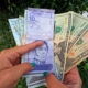 Un profesor titular de la UCV gana US$ 30 mensuales y un docente de la UCAB percibe US$ 500, según rectores