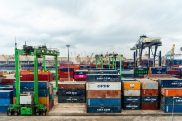 Venezuela export&oacute; 306 toneladas de algas marinas a Chile y T&uacute;nez: Un contenedor con pulpo fue enviado a Europa