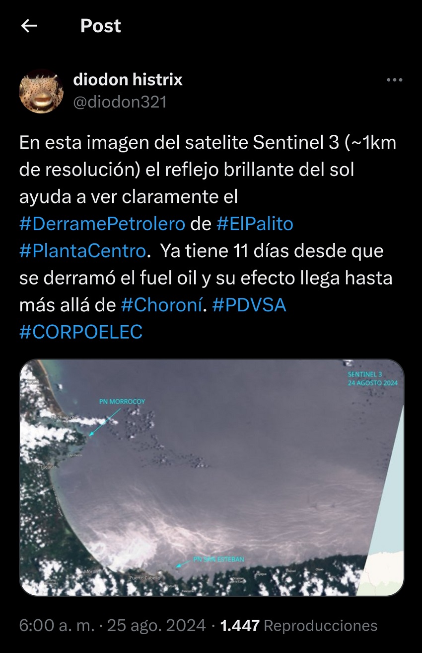 Derrame petrolero tiene 11 días y llegó más allá de Choroní, según biólogo venezolano
