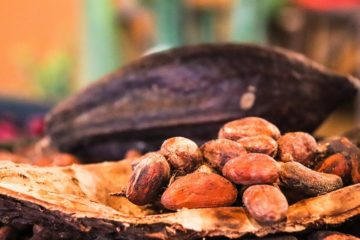 #An&aacute;lisis: &iquest;Cu&aacute;nto cuesta producir actualmente en Venezuela un kilo de cacao?