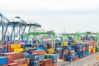 Avex: Venezuela tiene la capacidad de exportar a diferentes mercados porque cuenta con los productos