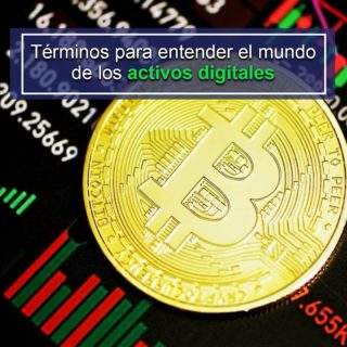 25 términos para entender el mundo de los activos digitales