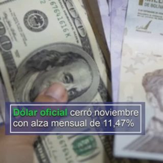 Dólar oficial cerró noviembre con alza mensual de 11,47% y se redujo moderadamente la brecha cambiaria