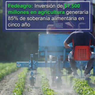 Fedeagro: inversión de US$ 1.500 millones en agricultura generaría 85% de soberanía alimentaria en cinco años