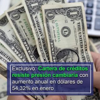 Cartera de créditos resiste presión cambiaria con aumento anual en dólares de 54,32% en enero