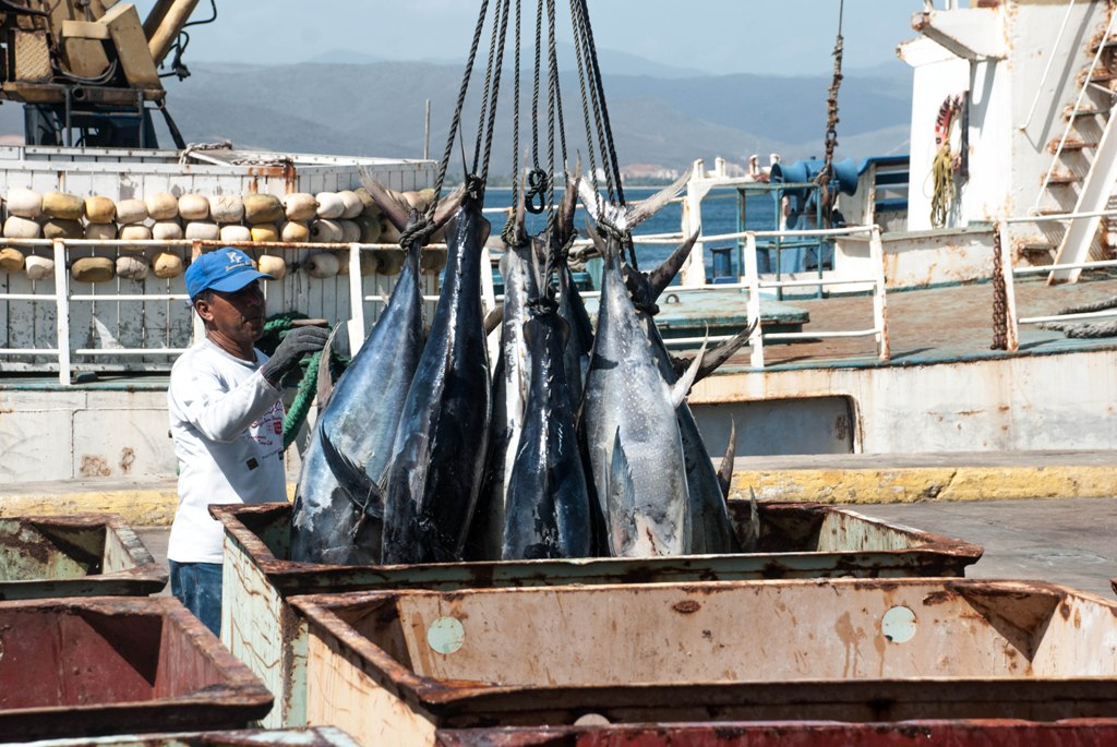 Venezuela y Rusia firman Memorándum de Entendimiento para cooperación pesquera