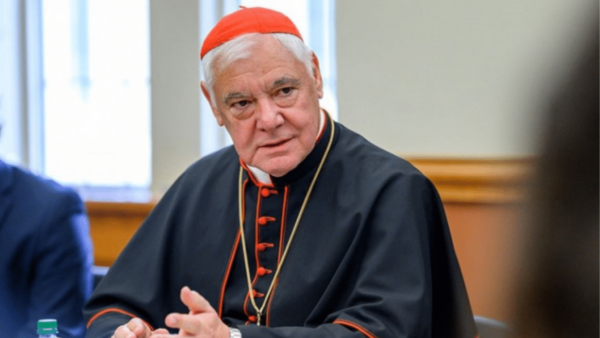Nueve cardenales considerados como «papables»: estos son los posibles sucesores del papa Francisco