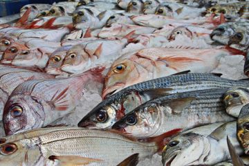 #Dato: El 60% de los restaurantes especializados en pescados y mariscos en La Guaira est&aacute;n abiertos