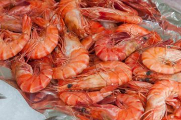 Plantean excenciones arancelarias para importaci&oacute;n de insumos destinados a la producci&oacute;n de camarones