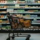 CER-UCAB: Ingreso promedio familiar en Bolívar apenas cubrió el 63,53% de la Canasta Alimentaria