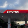 Ecuador contrató a la petrolera china Sinopec para perforar nuevos pozos en la Amazonía