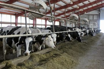 Fedenaga estructura plan de desarrollo tras los sismos: lo principal es contabilizar el reba&ntilde;o nacional