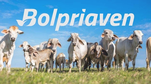 Bolpriaven elige a Ibelisse Suárez nueva presidente ejecutiva de la Bolsa Agrícola