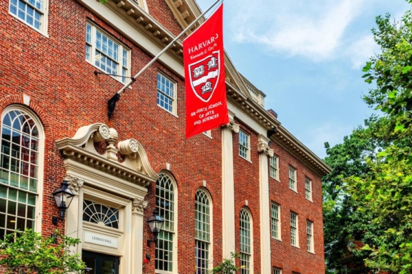 El futuro es tecnológico: las ocho carreras profesionales que recomienda Harvard