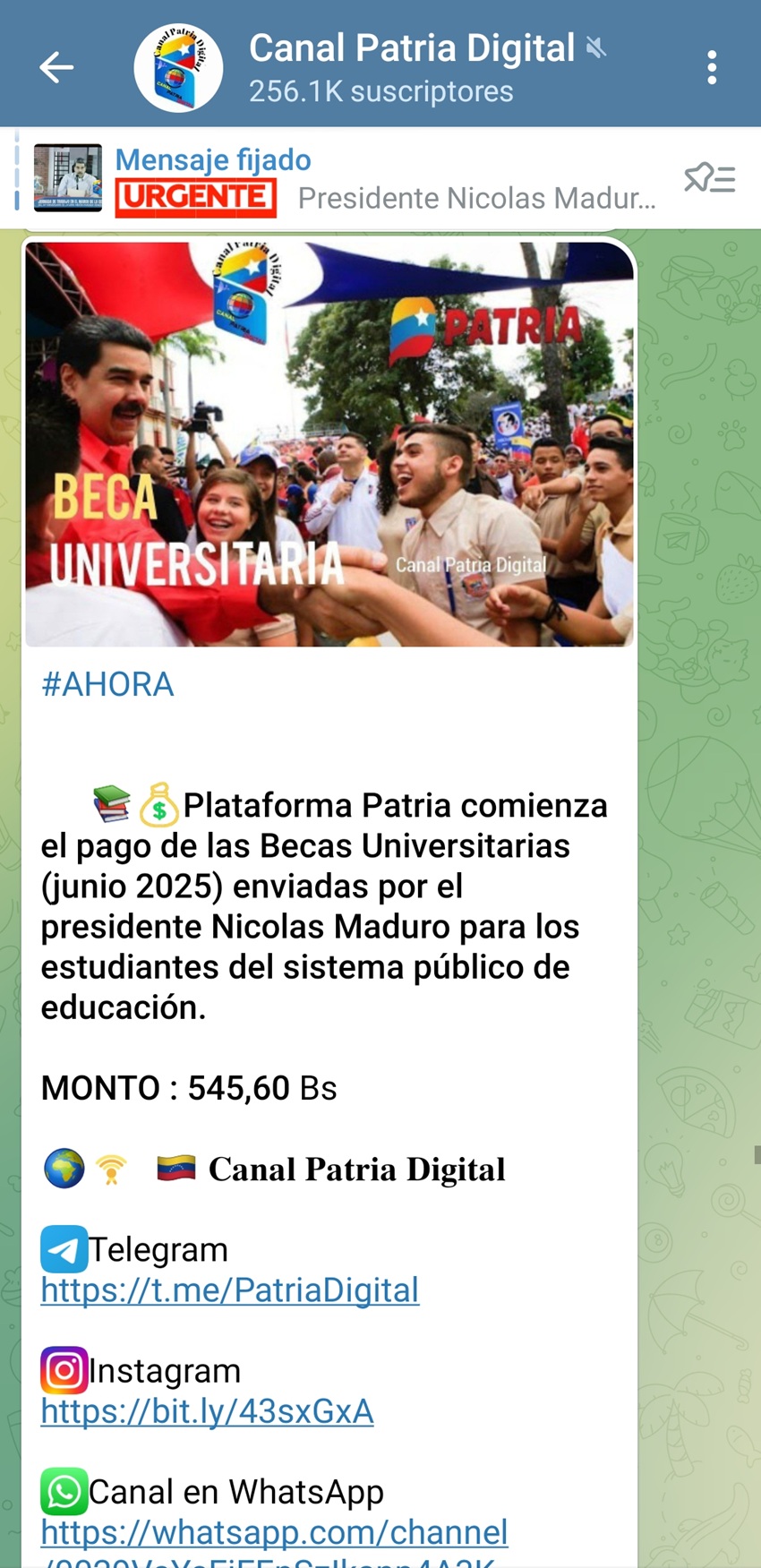 Conozca los montos: Pagan los bonos «Beca Universitaria» y «Beca Enseñanza Media» de junio