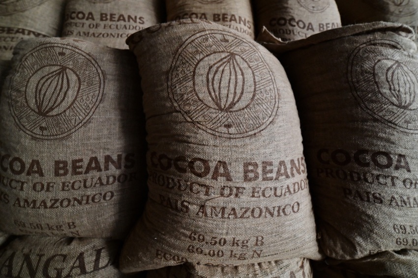 Cacao: El «nuevo oro» de la economía de Ecuador