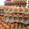 Unas 200 granjas de Táchira están en riesgo de cierre, afectadas por contrabando de huevos desde Colombia