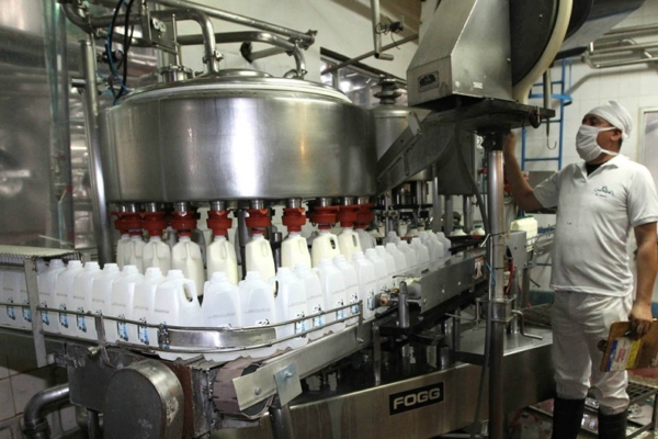 Cavilac: Industria láctea venezolana está «en números positivos» y ha venido «recuperando el mercado»