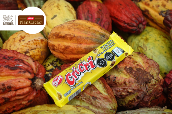 SAVOY® 100% cacao venezolano: detrás de cada cuadrito están más de 3 mil productores beneficiados por el Plan Cacao Nestlé